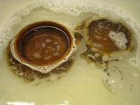 お皿洗いひとつとっても、ここまで違う日本とドイツ