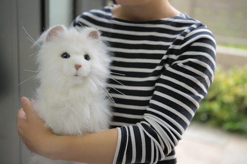 夢ねこセレブ d2ldlup Amazon.co.jp: 夢ねこセレブ : おもちゃ