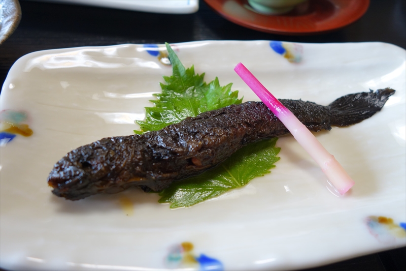 ムツゴロウの素焼きにエイリアンの干物 佐賀県は珍味の宝庫だった エキサイトニュース