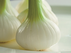 新タマネギはつるしておくと 普通のタマネギになるらしい エキサイトニュース