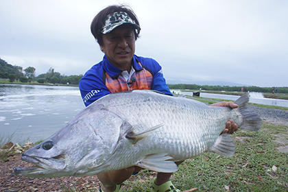 巨大魚バラマンディを育むオーストラリアは 希少生物のパラダイス エキサイトニュース