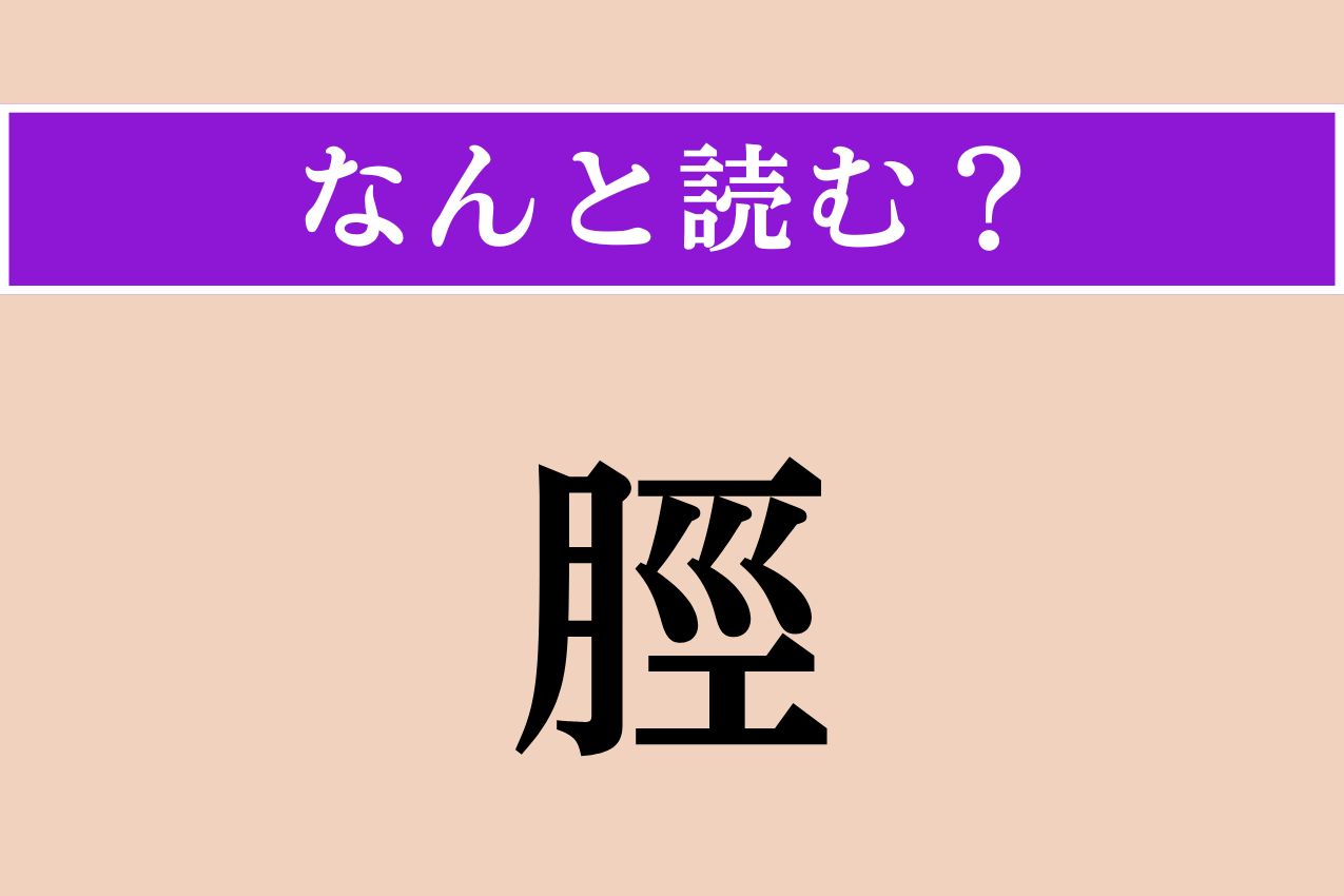 【難読漢字】「脛」正しい読み方は？「すね」以外の読み方わかりますか？