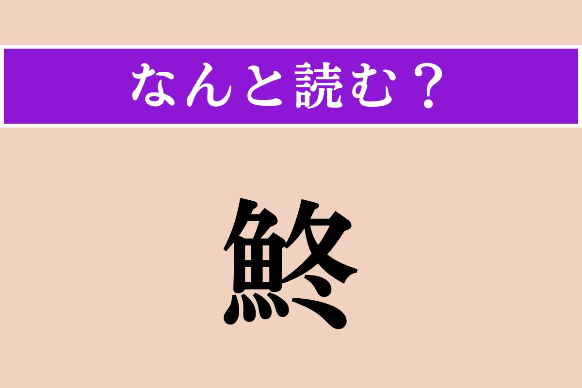 【難読漢字】「鮗」正しい読み方は？ どの魚だろう…