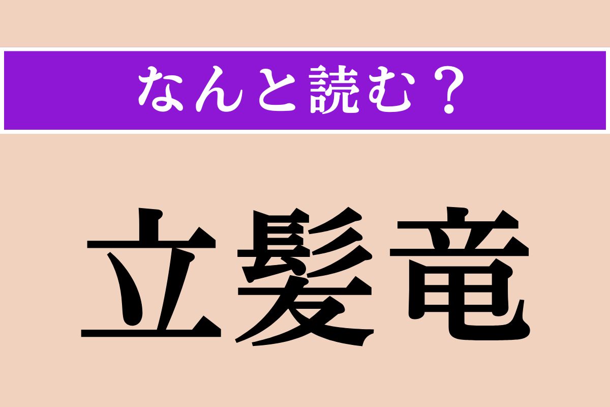【難読漢字】「立髪竜」正しい読み方は？「鬣蜥蜴」とも書きます
