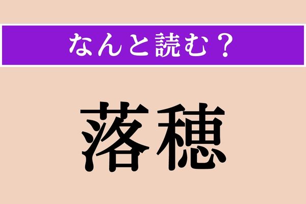 【難読漢字】「落穂 」正しい読み方は？「おちば」ではありませんが、拾うものです