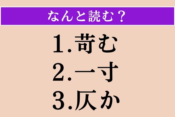【難読漢字】「苛む」「一寸」「仄か」読める？