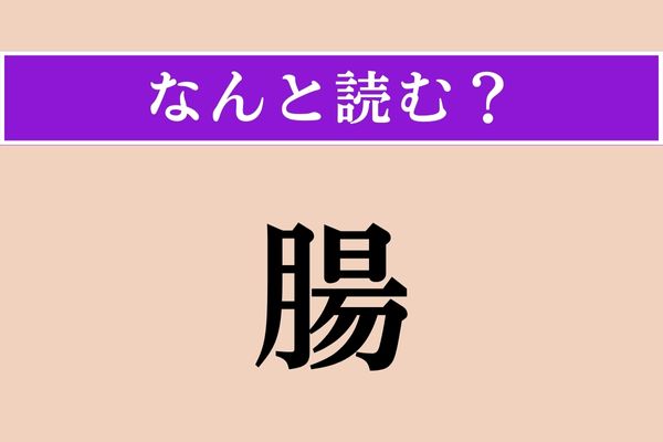 【難読漢字】「腸」正しい読み方は？ 訓読みわかる？