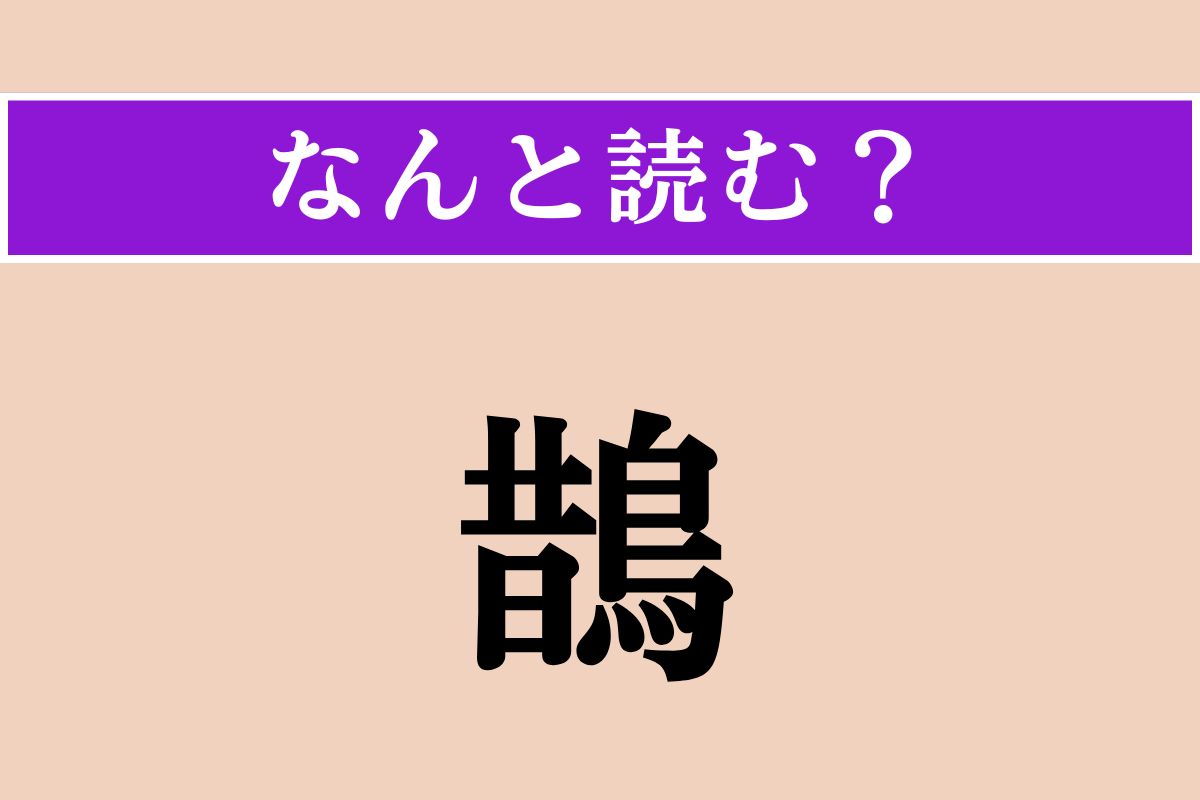 【難読漢字】「鵲」正しい読み方は？ どの鳥でしょうか？