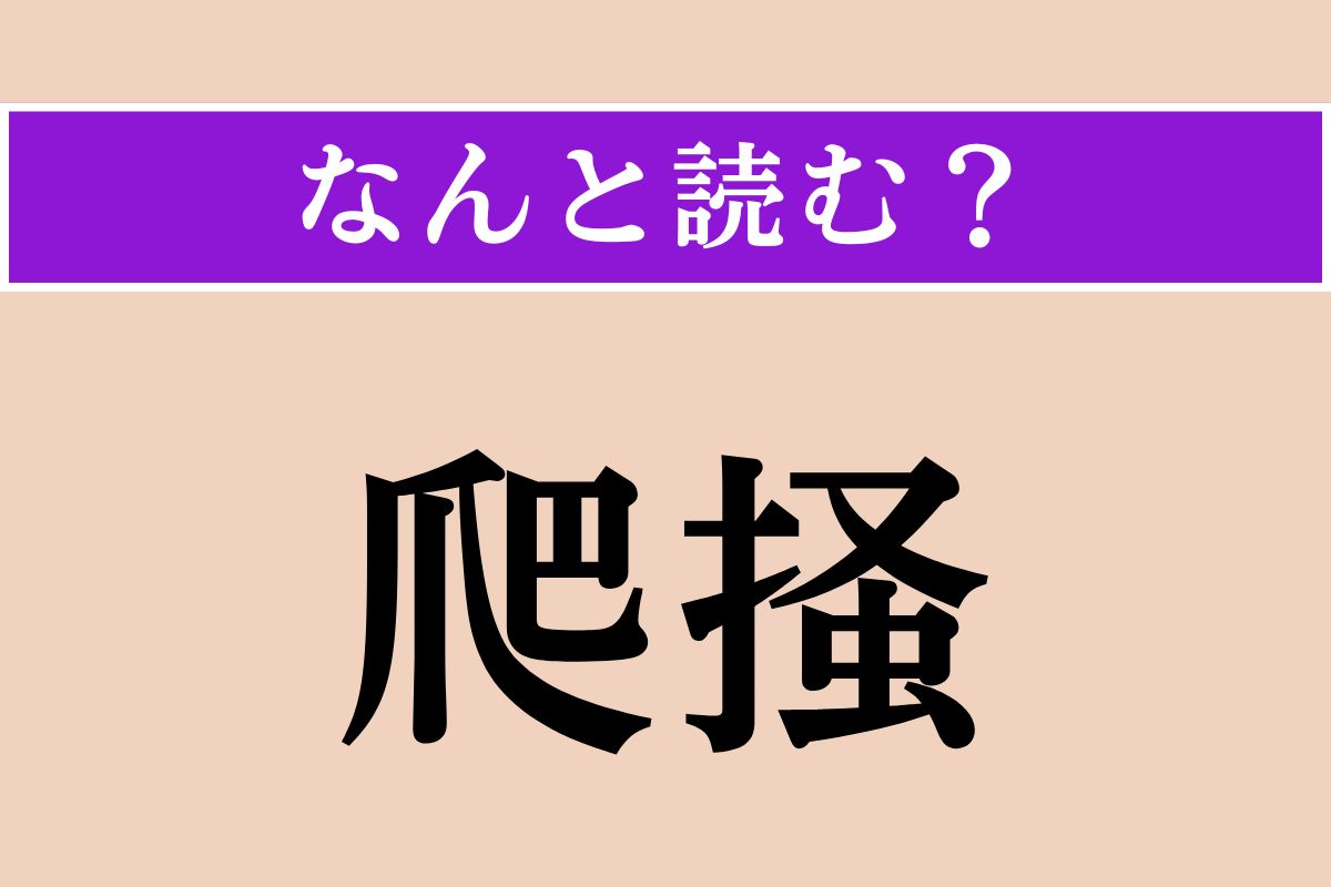 【難読漢字】「爬掻」正しい読み方は？ 主に医療分野で使用される言葉です