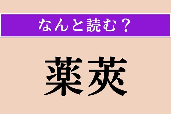 【難読漢字】「薬莢」正しい読み方は？「莢」は「さや」のことです
