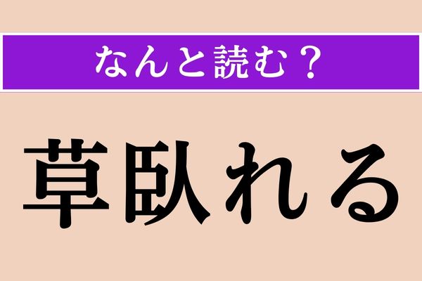 【難読漢字】「草臥れる」正しい読み方は？ つい口にしちゃいます