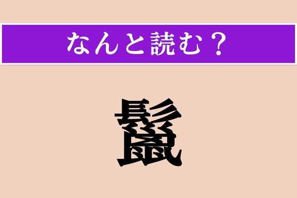 【難読漢字】「鬣」正しい読み方は？ 「髪」に関係のある言葉です