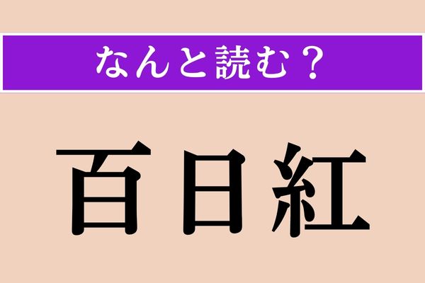 【難読漢字】「百日紅」正しい読み方は？ 紅色やピンク、白などの花を咲かせる花木です