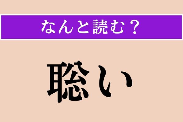 【難読漢字】「聡い」正しい読み方は？「敏い」と同じ読み方です