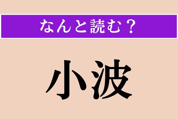 【難読漢字】「小波」正しい読み方は？ ←→大波