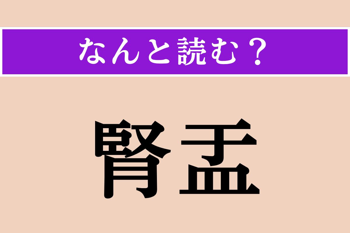 【難読漢字】「腎盂」正しい読み方は？ 腎臓の深部にある空洞組織のことです