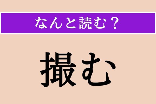 【難読漢字】「撮む」正しい読み方は？「抓む」と同じ読み方です