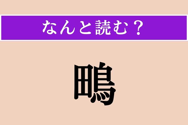 【難読漢字】「鴫」正しい読み方は？ どの鳥だろう…
