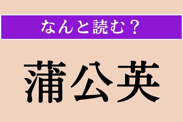 【難読漢字】「蒲公英」正しい読み方は？ 黄色い花を咲かせます