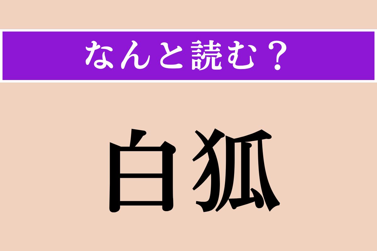 【難読漢字】「白狐」正しい読み方は？ 稲荷神の使いとして信仰されています