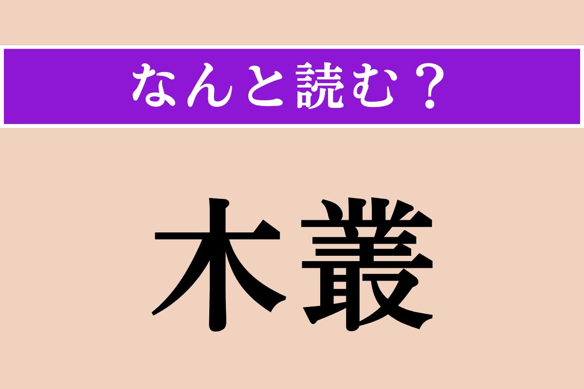 【難読漢字】「木叢」正しい読み方は？ 木が集まって茂っている所のことです