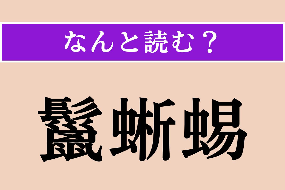【難読漢字】「鬣蜥蜴」正しい読み方は？「立髪竜」とも書きます
