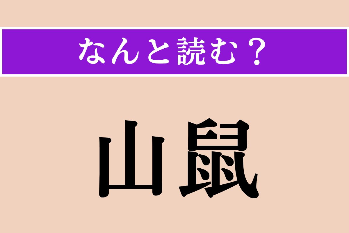 【難読漢字】「山鼠」正しい読み方は？ 冬眠する動物です