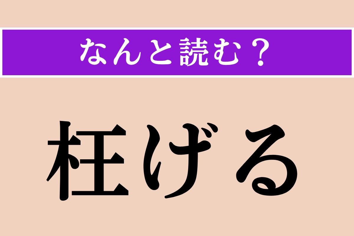 【難読漢字】「枉げる」正しい読み方は？「事実を枉げる」などと使われます