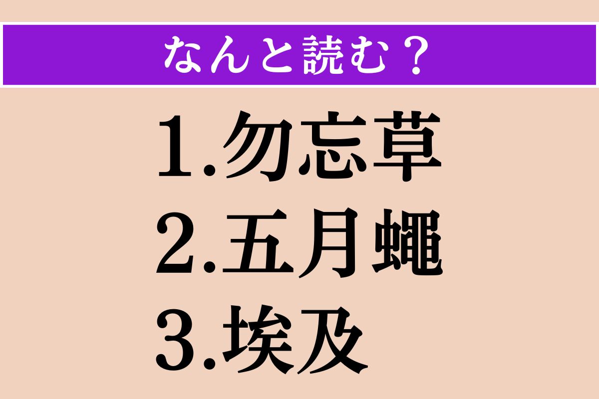 【難読漢字】「勿忘草」「五月蠅」「埃及」読める？