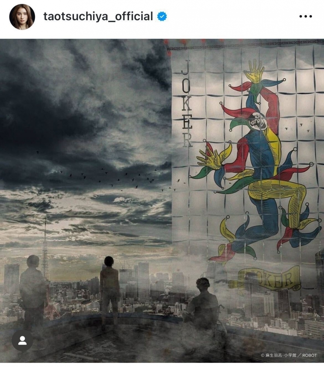 や*け様 ジョーカー トランプカード 今際の国のアリス きずあり Netflix『