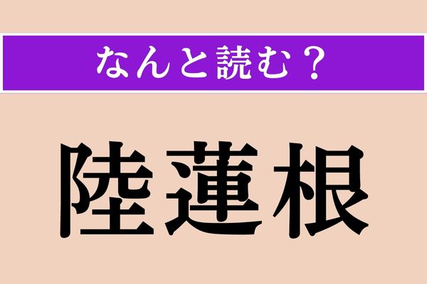 【難読漢字】「陸蓮根」正しい読み方は？ 粘り気のある野菜です