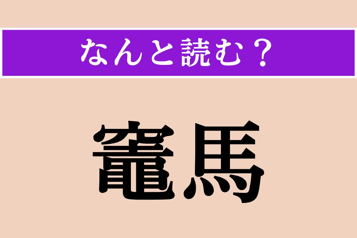 【難読漢字】「竈馬」正しい読み方は？「馬」とありますが、足の数は6本です