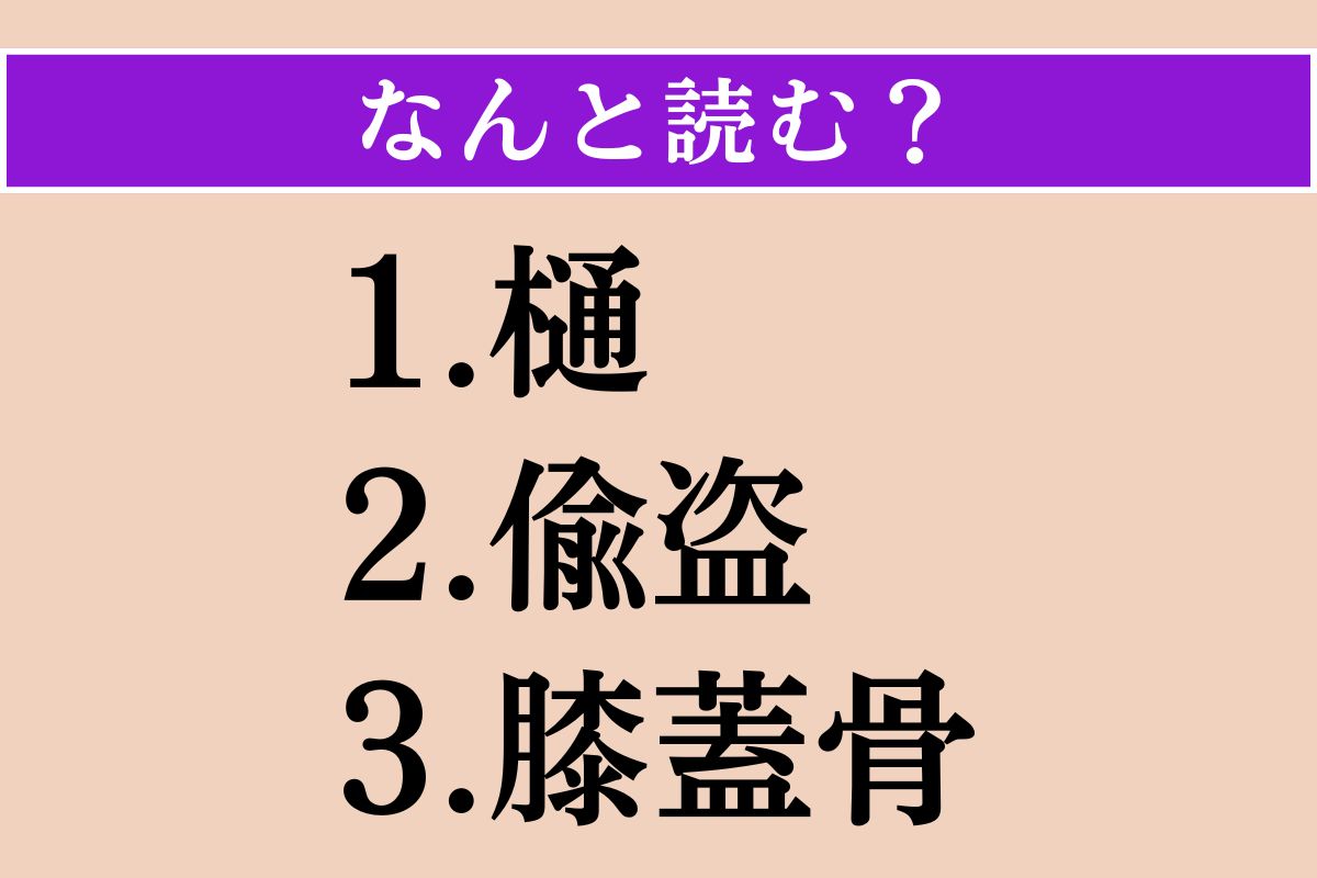 【難読漢字】「樋」「偸盗」「膝蓋骨」読める？