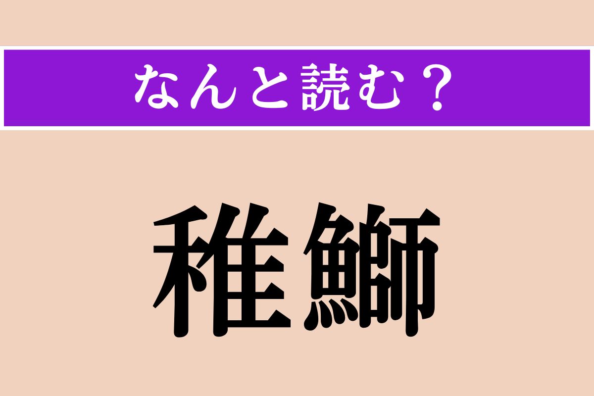 【難読漢字】「稚鰤」正しい読み方は？ ブリの若魚を言います