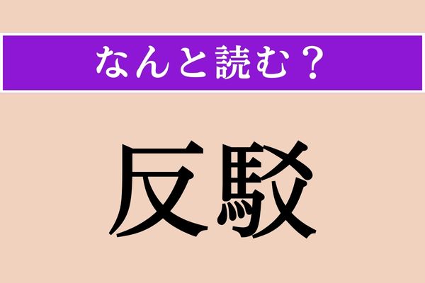 【難読漢字】「反駁」正しい読み方は？「駁毛（ぶちげ）」の「駁」ですが…