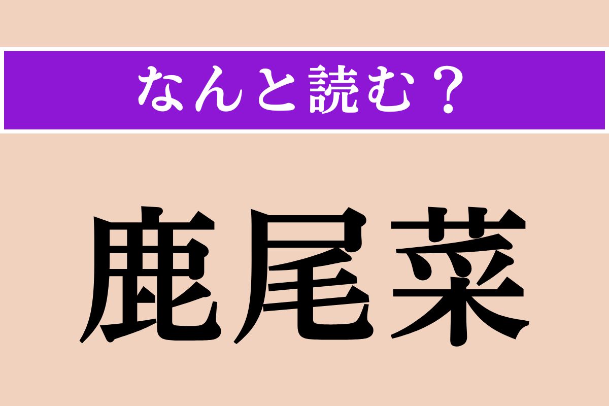 【難読漢字】「鹿尾菜」正しい読み方は？ 長寿食であり、「羊栖菜」とも書きます