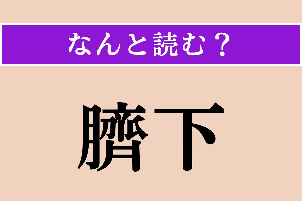 【難読漢字】「臍下」正しい読み方は？ おへその下のことです