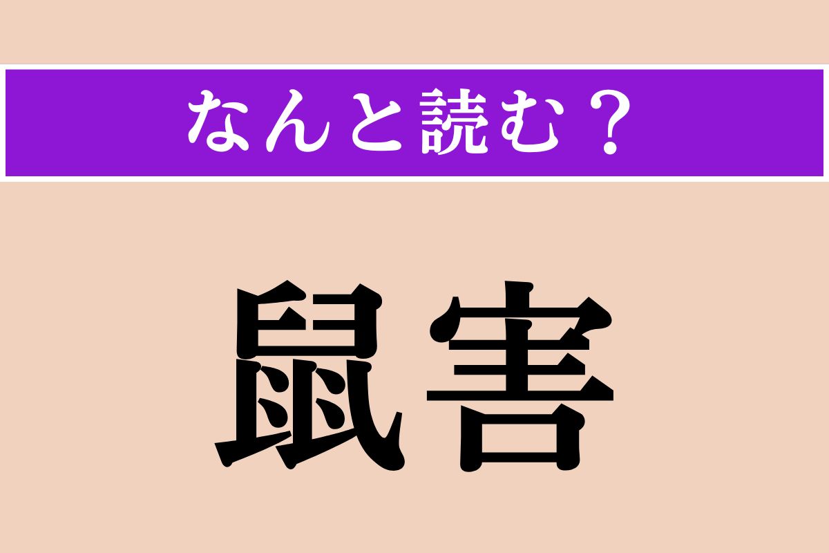 【難読漢字】「鼠害」正しい読み方は？ 文字通り、ネズミによる被害のことです