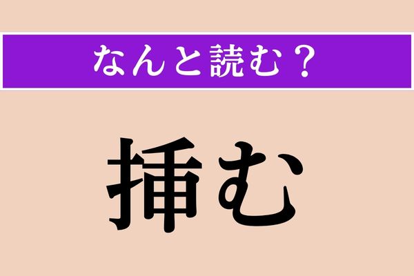 【難読漢字】「挿む」正しい読み方は？「挿入」の「挿」なので…