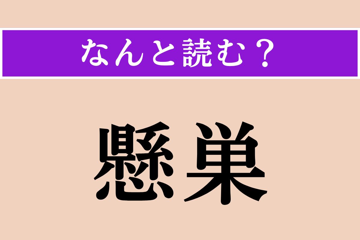 【難読漢字】「懸巣」正しい読み方は？ モノマネが得意な鳥です