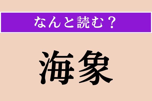 【難読漢字】「海象」正しい読み方は？ オスには長い牙があります