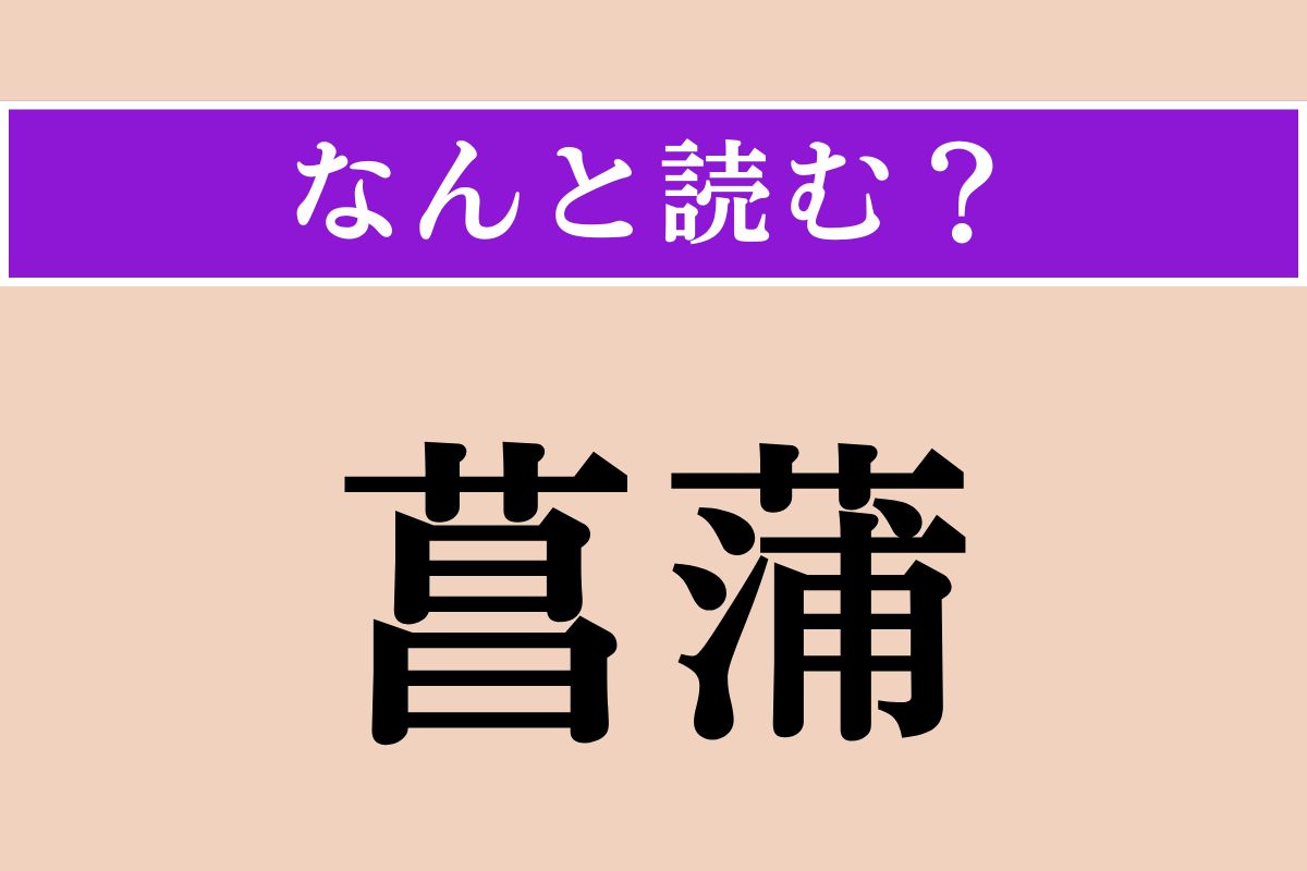 【難読漢字】「菖蒲」正しい読み方は？ 水辺の湿地に自生する植物です