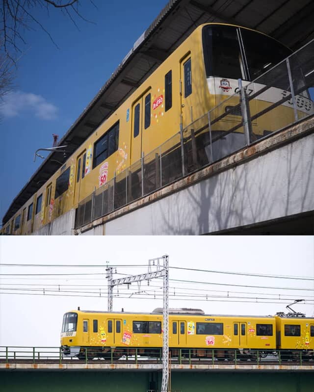 幸運を運ぶ「ハッピーターントレイン」での特別な体験