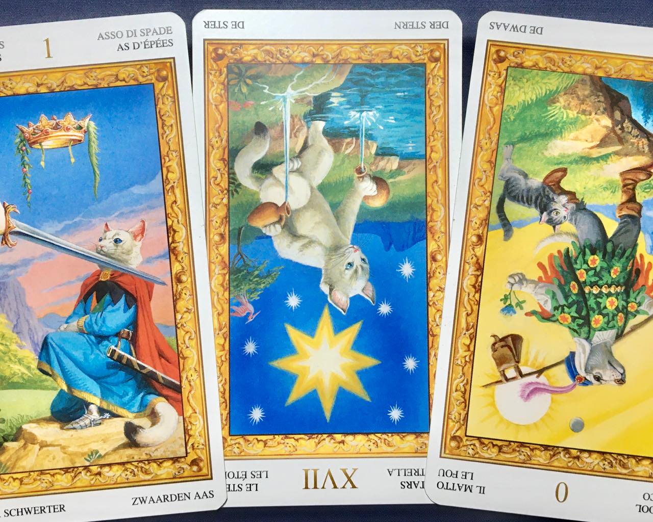 待望 スターバックスカード 台湾 星座 射手座 Tricostura Com Br