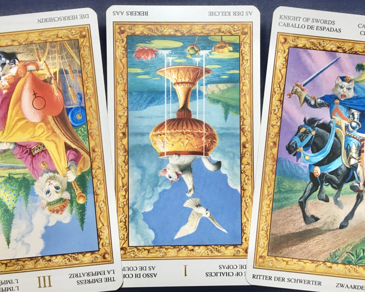 Fykfwvl3mmzj6m Fykfwvl3mmzj6m