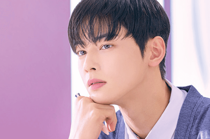 チャウヌ THE 日本公演 入場特典 チャウヌ THE 日本公演 入場特典 NEWS