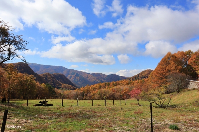 秋の信州 ビーナスラインでドライブと紅葉を楽しむ旅 年11月11日 エキサイトニュース