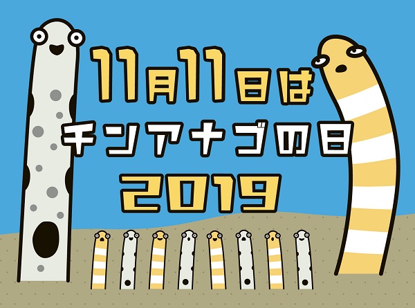 11月11日はチンアナゴの日 京都水族館で特別イベント開催 19年11月6日 エキサイトニュース