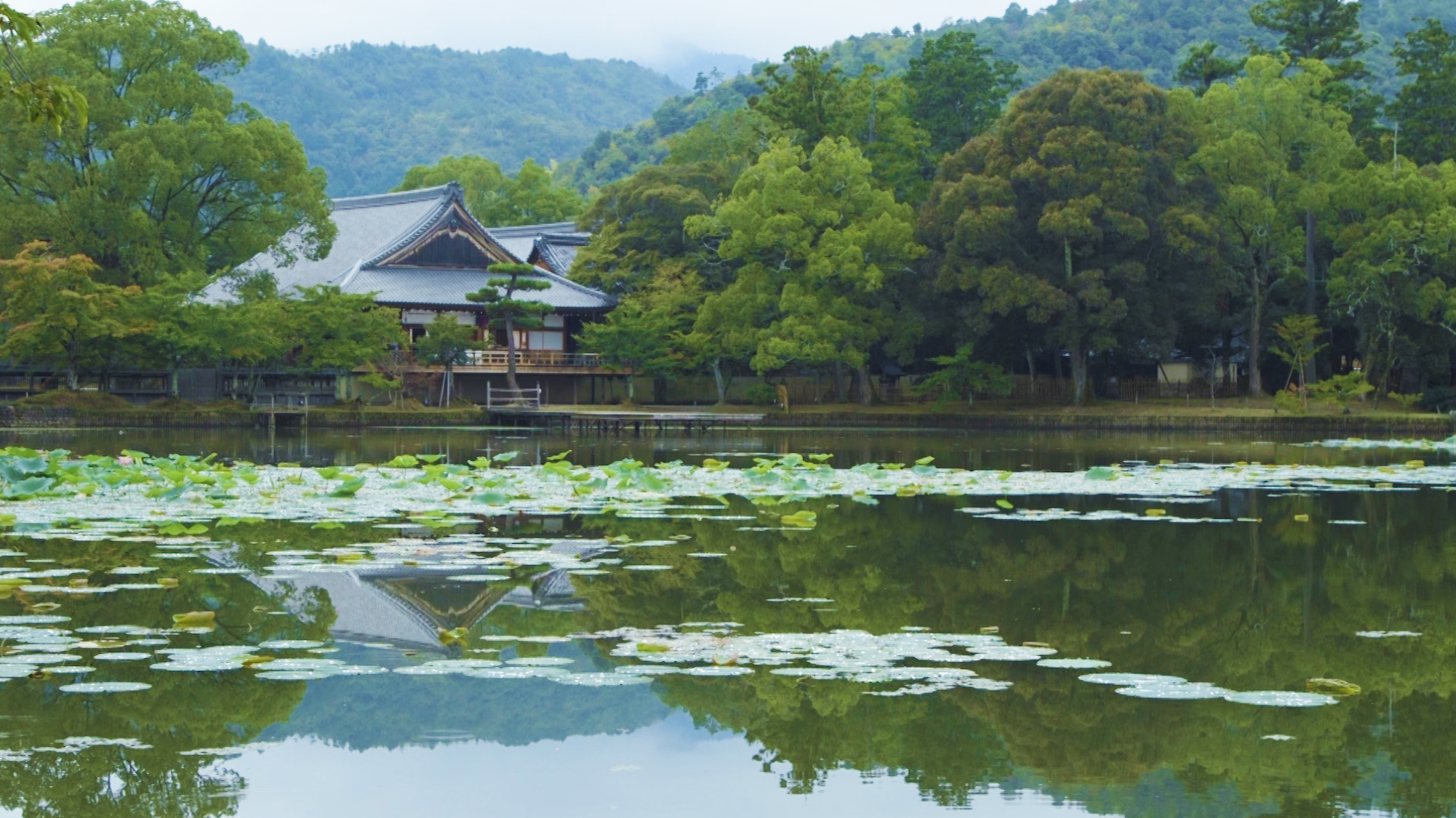心安らぐ写経体験も。雄大な池に浮かぶ美しい寺院「大覚寺」 (2018年4 