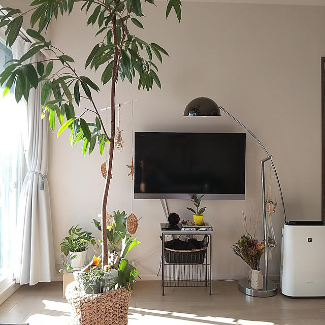 賃貸＆壁補強なしでも◎壁美人でかんたんに壁掛けテレビを実現